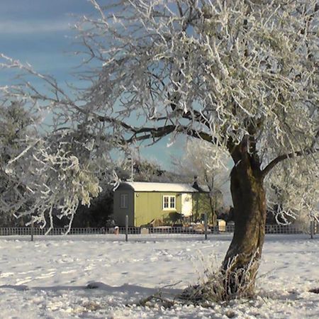 The Abberton Shepherds Hut Evesham Dış mekan fotoğraf