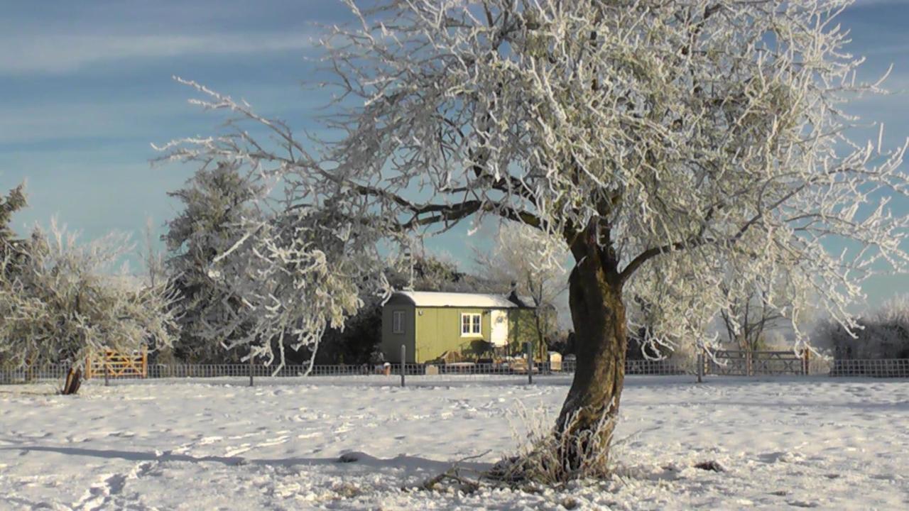 The Abberton Shepherds Hut Evesham Dış mekan fotoğraf