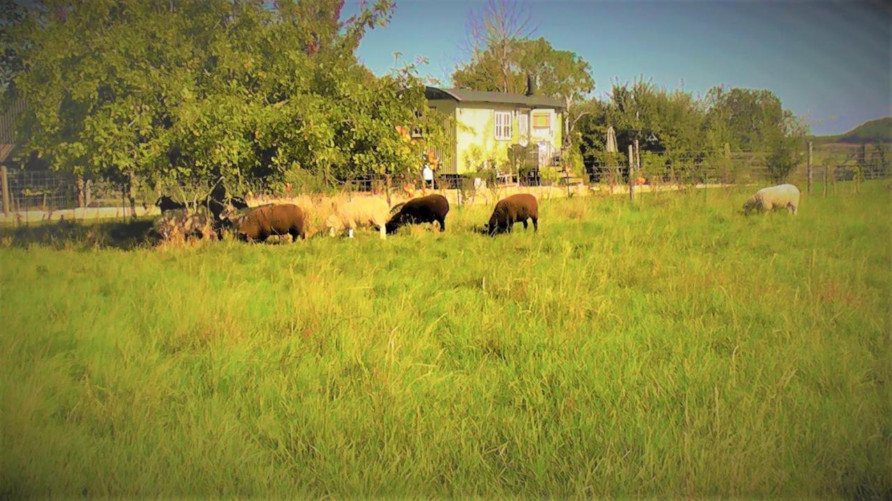 The Abberton Shepherds Hut Evesham Dış mekan fotoğraf