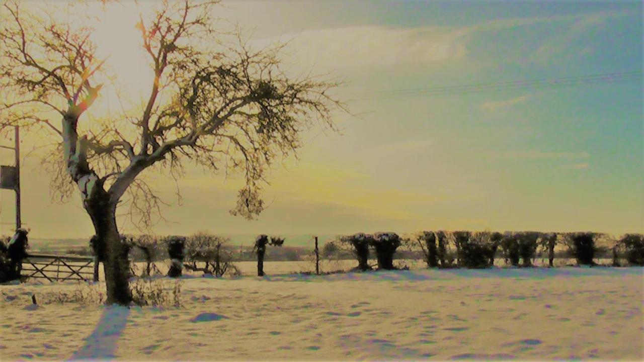 The Abberton Shepherds Hut Evesham Dış mekan fotoğraf